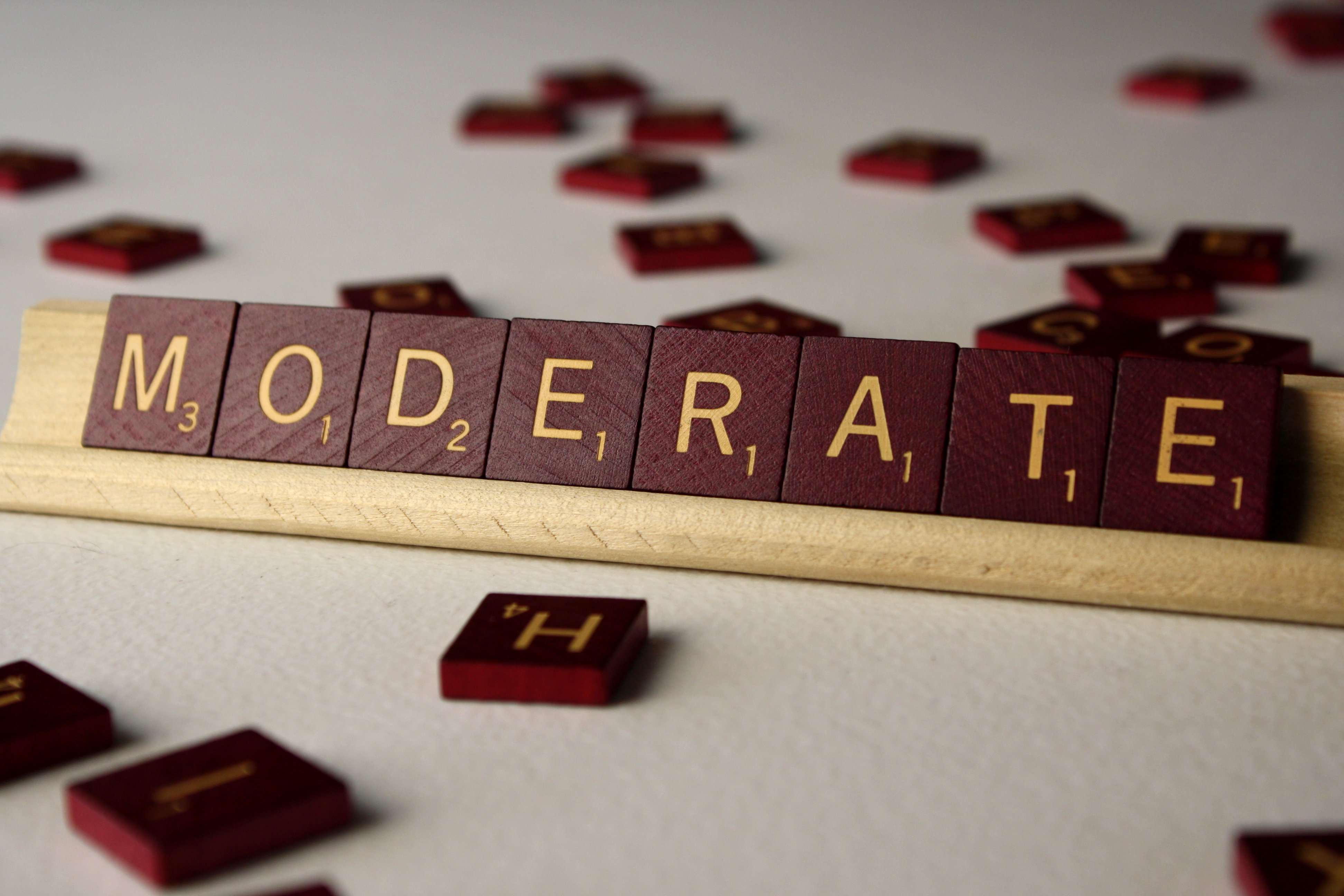 moderate-the-recovering-politician